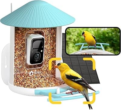 NETVUE Birdfy Smart Bird Feeder