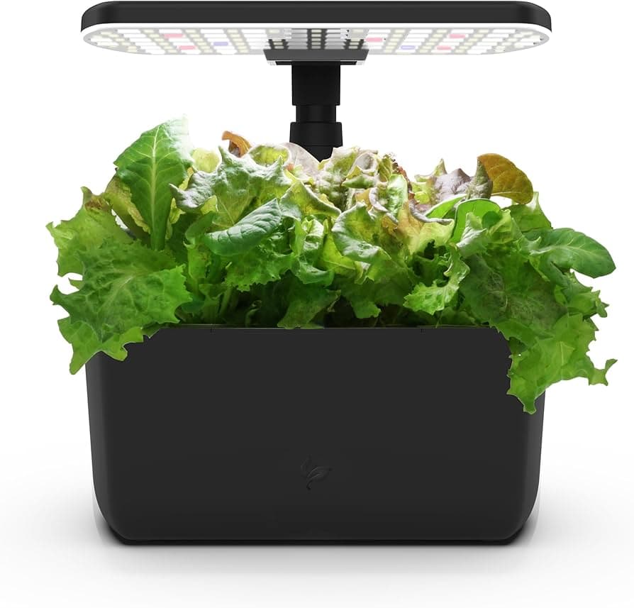 AeroGarden Harvest Lite in Black, Soil-Free Indoor by AeroGarden