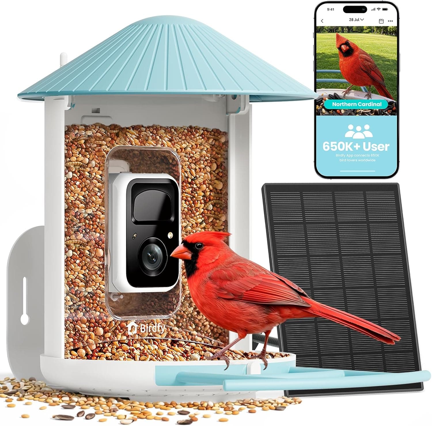 Best Smart Bird Feeders with Camera: 5 Picks Scored & Ranked