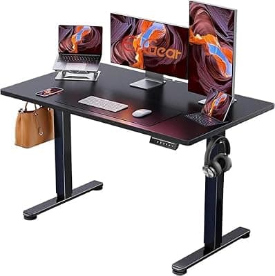 ErGear Electric Standing Desk 48x24