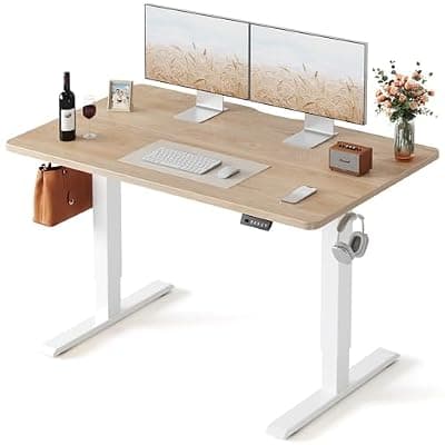 FEZIBO Electric Standing Desk 48x24