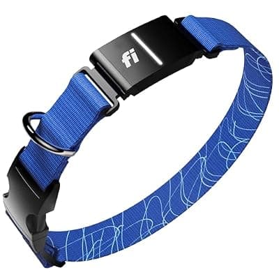 Fi Series 3+ Smart Dog Collar